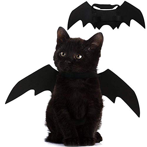 Halloween's Bat Wings Costume Accessory for Cats and Small Dogs