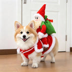 Halloween's Creepy Dog Costume with Padded Arms for Trick or Treating