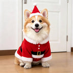Halloween's Creepy Dog Costume with Padded Arms for Trick or Treating