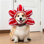 Halloween's Creepy Dog Costume with Padded Arms for Trick or Treating