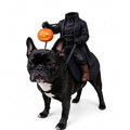 Halloween's Headless Horseman Pet Costume for Cats and Dogs
