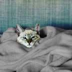 Plush Fleece Solid Throw Blanket Soft Warm Couch Bed Cover