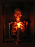 Halloween's Framed Skeleton Torso Wall Decor with Flashing Candle Light