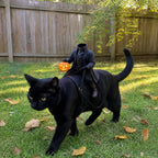 Halloween's Headless Horseman Pet Costume for Cats and Dogs