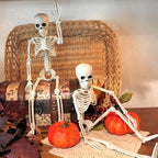 Halloween's 2 Pack 36 Inch Movable Joint Skeleton Decorations
