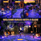 Halloween's Solar Outdoor Pathway Lights for Yard, Garden, and Party Decor